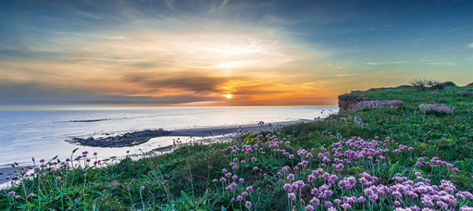 MON PLUS BEAU COIN NATURE DES HAUTS DE FRANCE 2024