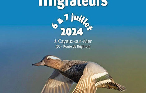 SALON DES MIGRATEURS