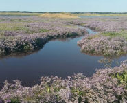 MOMENTS CAPTURÉS EN BAIE D'AUTHIE