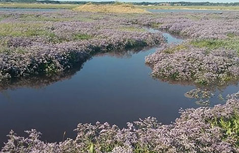 MOMENTS CAPTURÉS EN BAIE D'AUTHIE