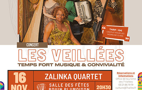 LES VEILLÉES