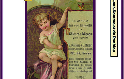 LA CHICORÉE ET LA BAIE DE SOMME