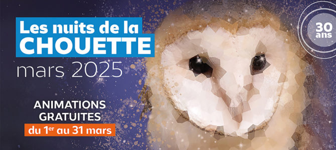 LES NUITS DE LA CHOUETTE