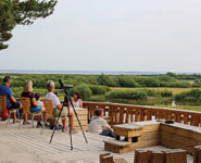 SOIRÉE DÉCOUVERTE ET CONTEMPLATION AU PARC DU MARQUENTERRE