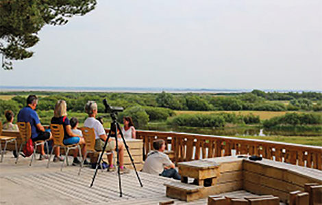 SOIRÉE DÉCOUVERTE ET CONTEMPLATION AU PARC DU MARQUENTERRE