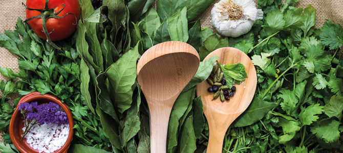 CUEILLEZ ET CUISINEZ LES PLANTES SAUVAGES