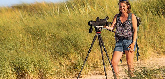 REGARDS SUR LA FAUNE SAUVAGE EN BAIE D’AUTHIE