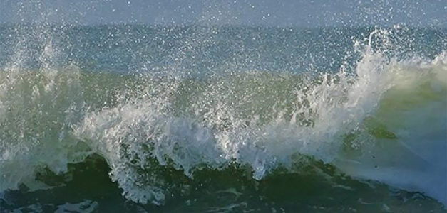 LES GRANDES MARÉES, L’AUTRE VISAGE DE LA BAIE