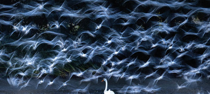 EXPOSITION DU CONCOURS PHOTO INTERNATIONAL 2025