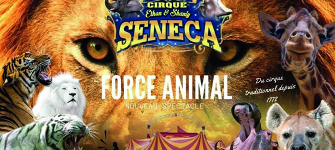CIRQUE ETHAN & SHANTY SENECA