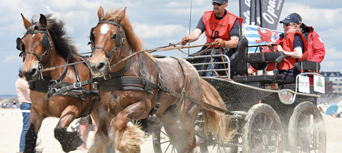 MARATHON D’ATTELAGE
