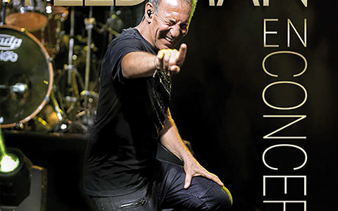 FRANÇOIS FELDMAN EN CONCERT