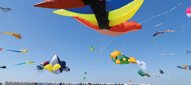FESTIVAL DES CERFS-VOLANTS