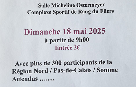 FESTIVAL DE MAJORETTES