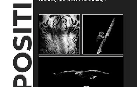 LUMIÈRE ANIMALE, OMBRES LUMIÈRES ET VIE SAUVAGE