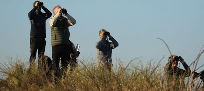 RANDONNÉE NATURE SEMI-NOCTURNE