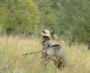 DÉCOUVERTE DES PAPILLONS DE JOURS DE LA BOUVAQUE