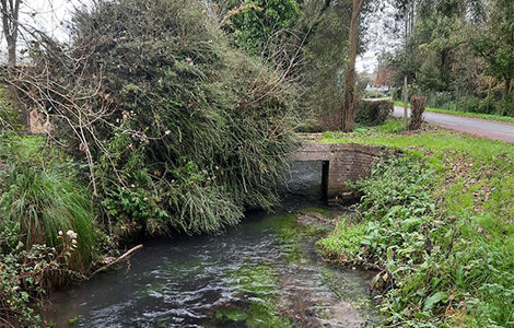 VOYAGE DANS LE VERT, VISITE DU MARAIS DE SAIGNEVILLE