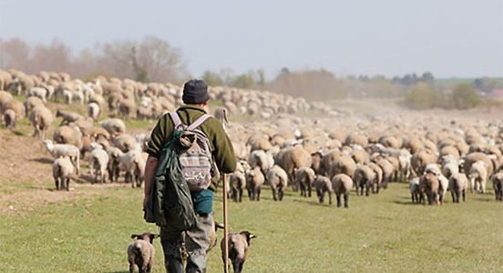 AUTOUR DE LA CHAPELLE