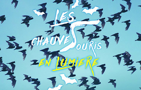LES CHAUVE-SOURIS EN LUMIÈRE