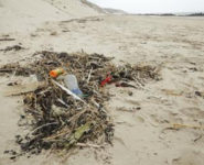 À LA DÉCOUVERTE DE L’OCÉAN