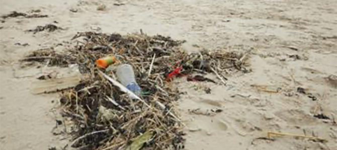 À LA DÉCOUVERTE DE L’OCÉAN