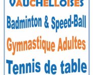 JOURNÉE DÉCOUVERTE DES ASSOCIATIONS VAUCHELLOISES