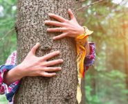 SYLVOTHÉRAPIE : BAIN DE FORÊT AVEC LES ÉLÉMENTS