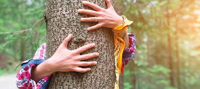SYLVOTHÉRAPIE : BAIN DE FORÊT AVEC LES ÉLÉMENTS