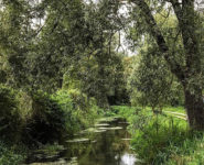 BALADE À LA MADELAINE ET DÉCOUVERTE DE LA GRENOUILLÈRE