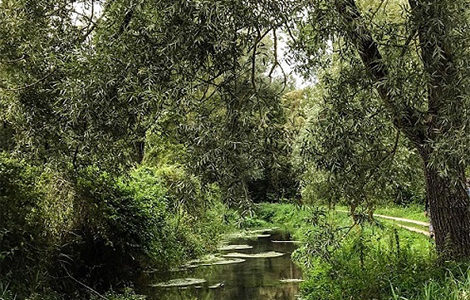BALADE À LA MADELAINE ET DÉCOUVERTE DE LA GRENOUILLÈRE