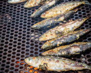 10ème ÉDITION – FÊTE DU HARENG CÔTIER