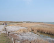 LA RÉSERVE D’AVIFAUNE DU HÂBLE D’AULT