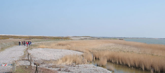LA RÉSERVE D’AVIFAUNE DU HÂBLE D’AULT