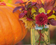 L’ART DE CRÉER UN BOUQUET D’AUTOMNE