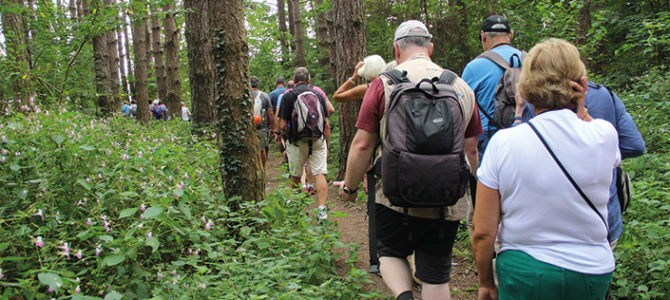 GRANDE RANDONNÉE NATURE