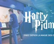 ACTIVITÉ HARRY PIDMER