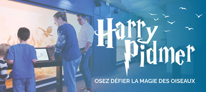 ACTIVITÉ HARRY PIDMER