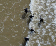 INITIATION LONGE CÔTE