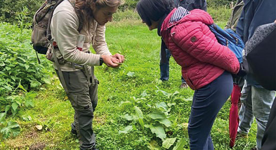 LA JOURNÉE MONDIALE DU CLIMAT