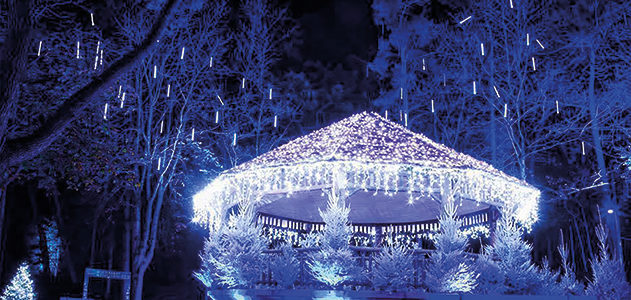 LE PATRIMOINE ARCHITECTURAL SOUS LES ILLUMINATIONS DE NOËL
