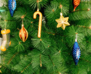 SAPIN PARTICIPATIF, Hall Jean-Pierre Pernaut.