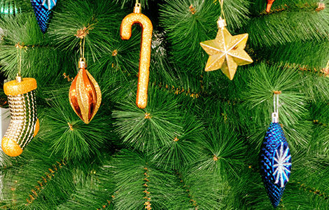 SAPIN PARTICIPATIF, Hall Jean-Pierre Pernaut.