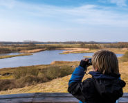 RÉOUVERTURE DU PARC DU MARQUENTERRE