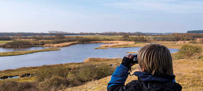 RÉOUVERTURE DU PARC DU MARQUENTERRE