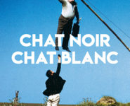 SÉANCE SPÉCIALE « CHAT NOIR, CHAT BLANC »