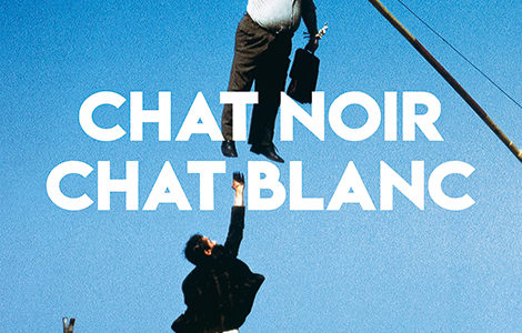 SÉANCE SPÉCIALE « CHAT NOIR, CHAT BLANC »