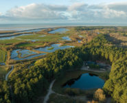 JOURNÉE DES ZONES HUMIDES