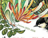 EN ATTENDANT LE SALON !