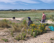 OPÉRATION « HAUTS DE FRANCE PROPRES »